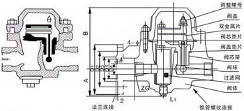 TSF-123双金属片式蒸汽疏水阀外形尺寸图