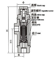 CS14H/F液体膨胀式膜盒式蒸汽疏水阀外形尺寸图